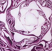 Red Cabbage by Garry McMichael